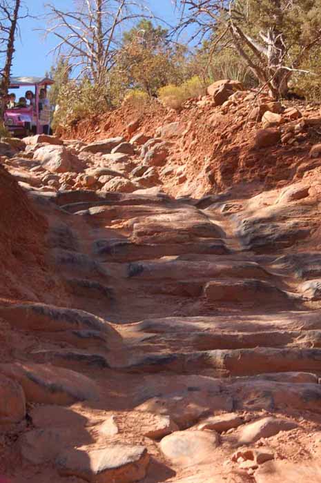 a Pink Jeep pathway